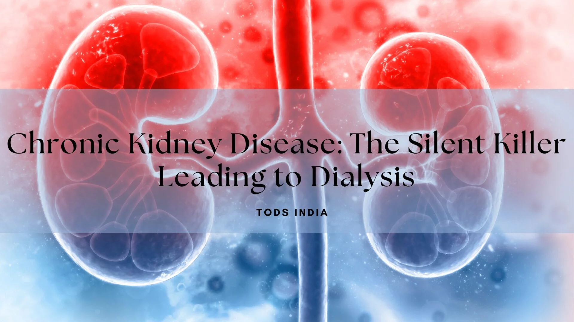 Chronic Kidney Disease